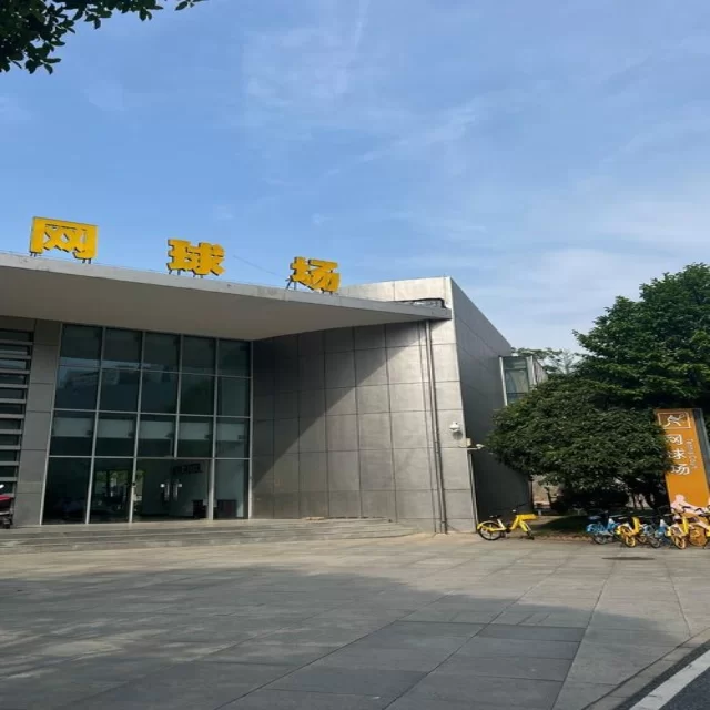 乒乓球冠军竞争格局的数据化深度解读